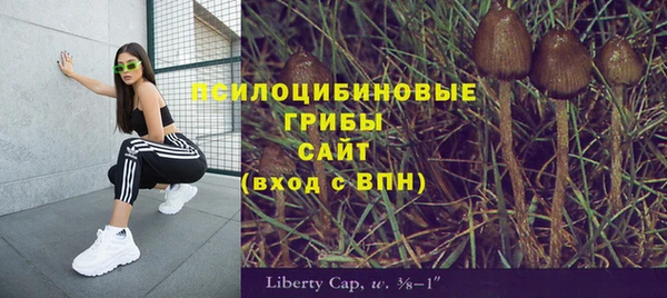 таблы Богданович