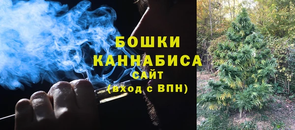 первитин Богородицк