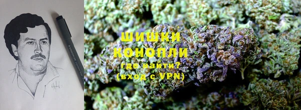 первитин Богородицк