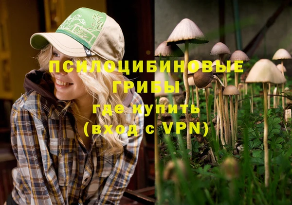 таблы Богданович